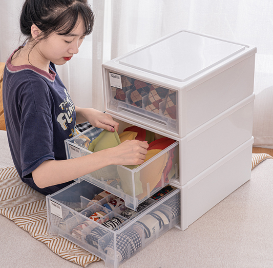 Underwear storage and organizer box