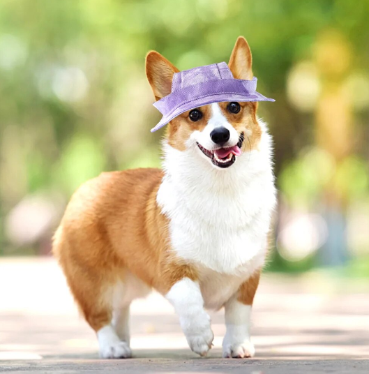 Dog Bucket Hat with Ear Holes, Sunproof Baseball Cap